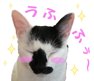 aQuin（アク氏）